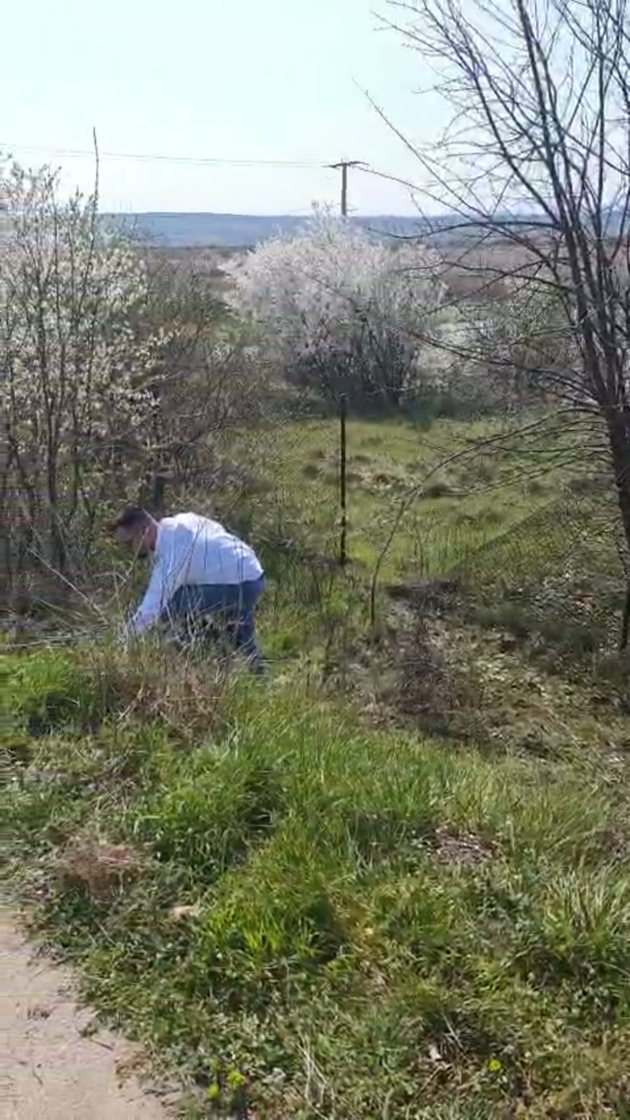 Član RED-a sakuplja otpad u rastinju pored Oblačinskog jezera